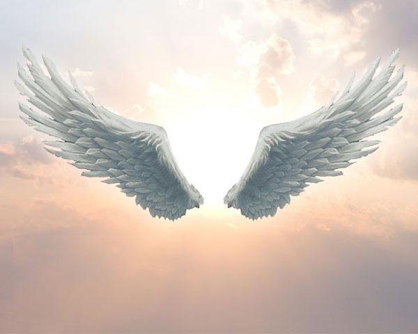 Whisper Of Angels Wings